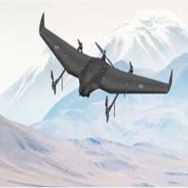 Mini Remotely Piloted Aircraft System (Mini RPAS)